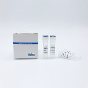 Kit RT-PCR SARS-CoV